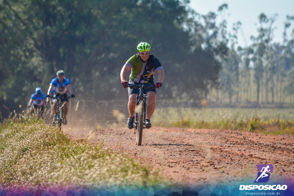 Caminhos da Padroeira 2016