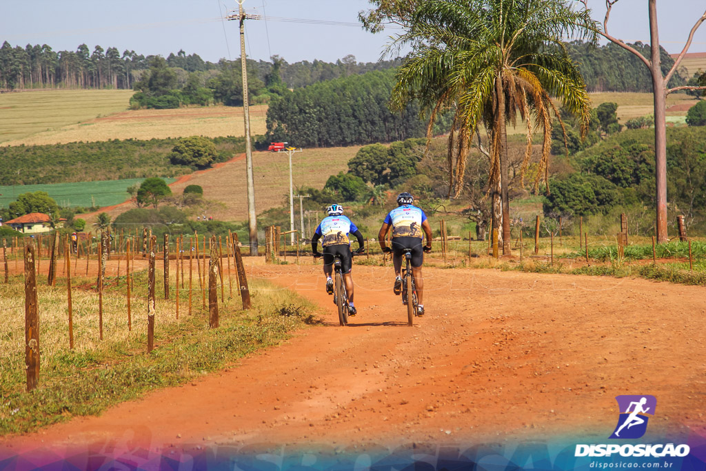 Caminhos da Padroeira 2016