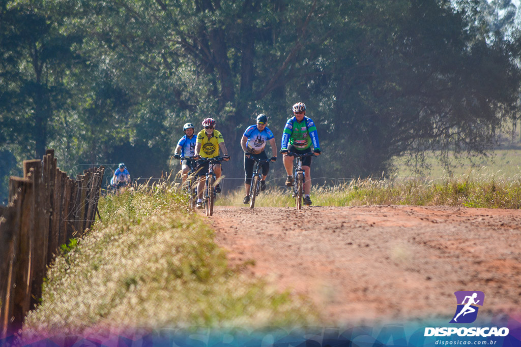 Caminhos da Padroeira 2016