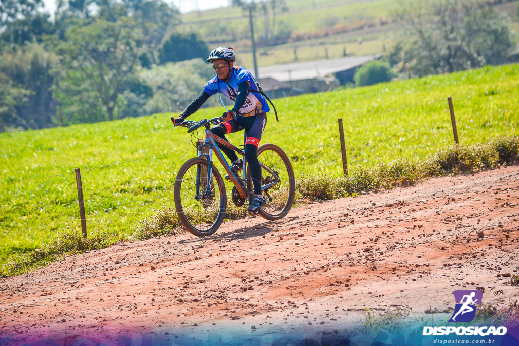 Caminhos da Padroeira 2016