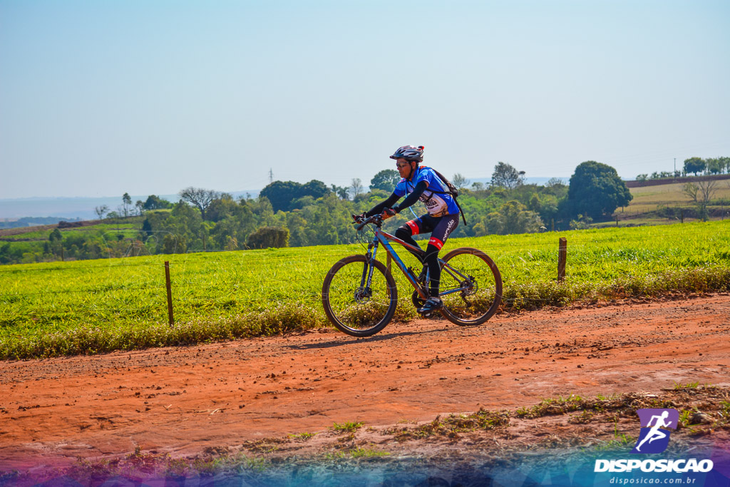 Caminhos da Padroeira 2016