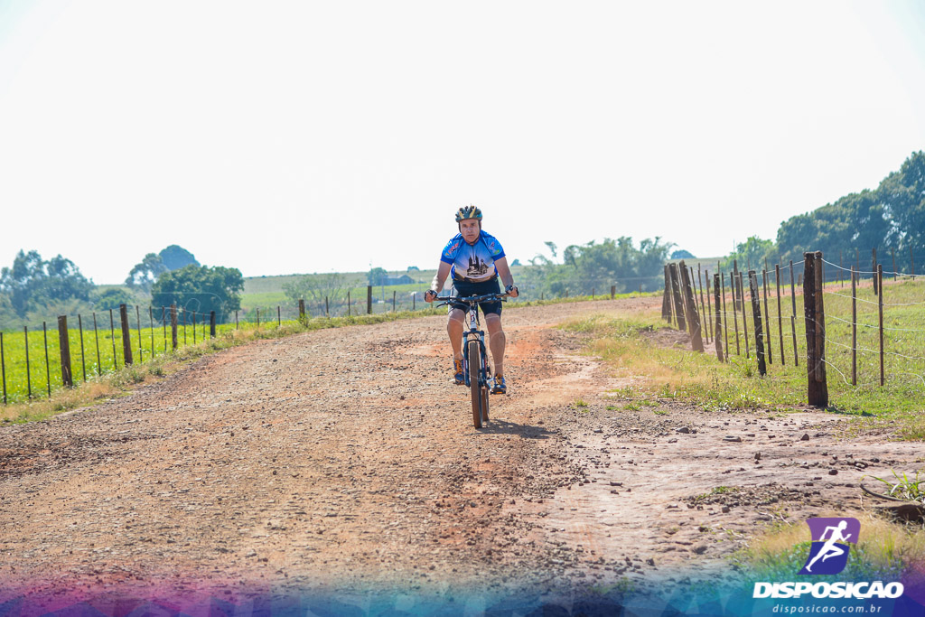 Caminhos da Padroeira 2016