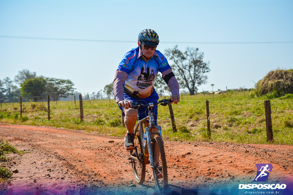 Caminhos da Padroeira 2016