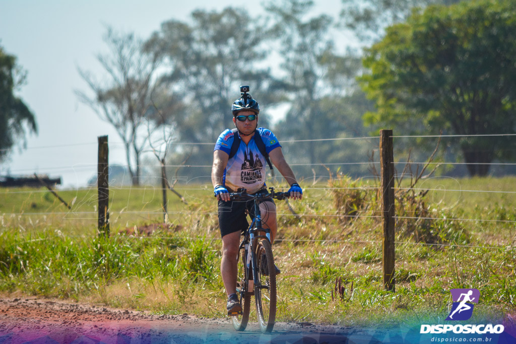 Caminhos da Padroeira 2016