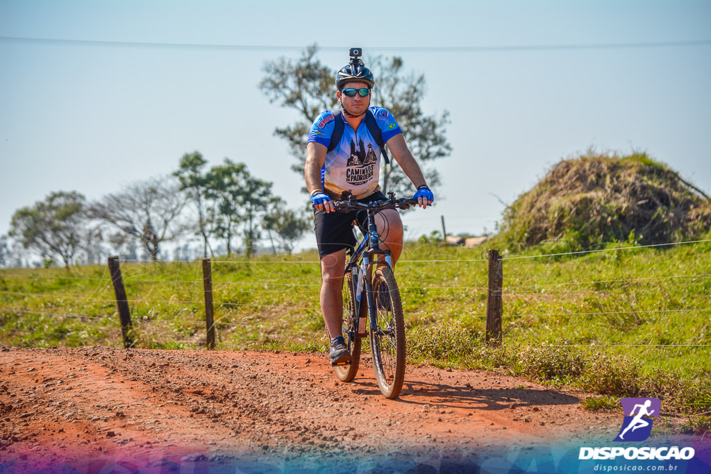 Caminhos da Padroeira 2016