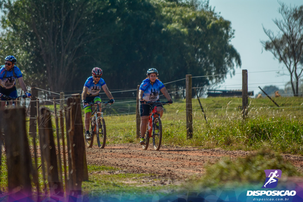 Caminhos da Padroeira 2016