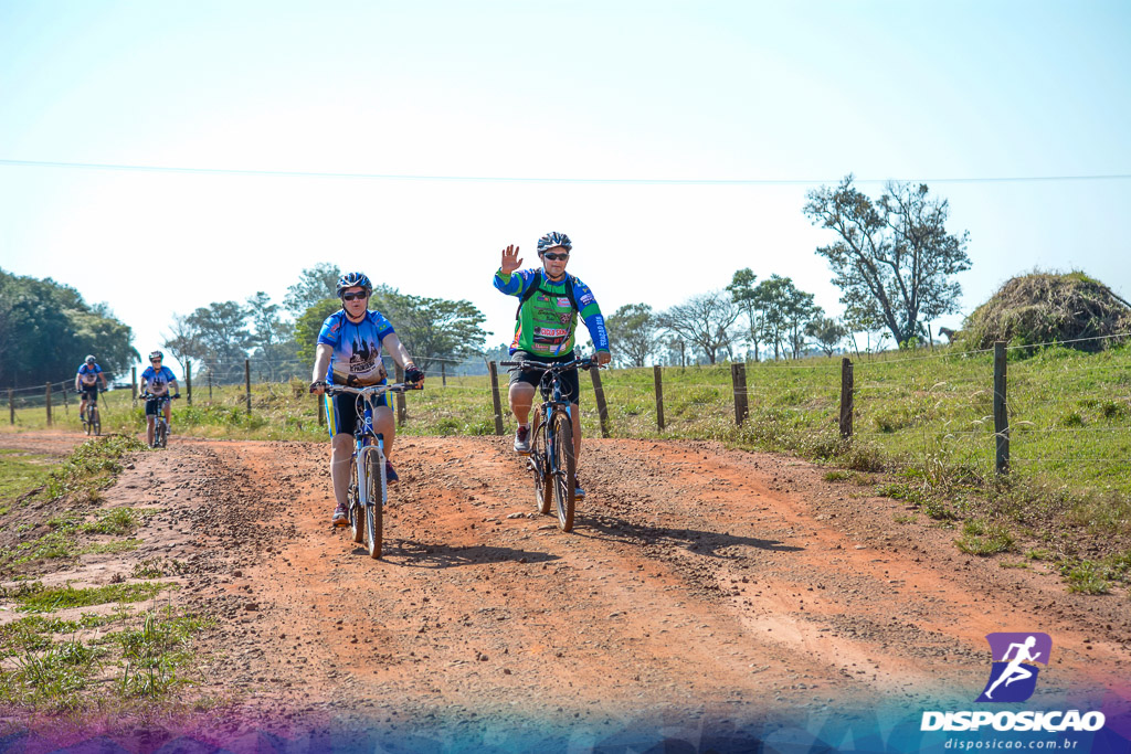 Caminhos da Padroeira 2016