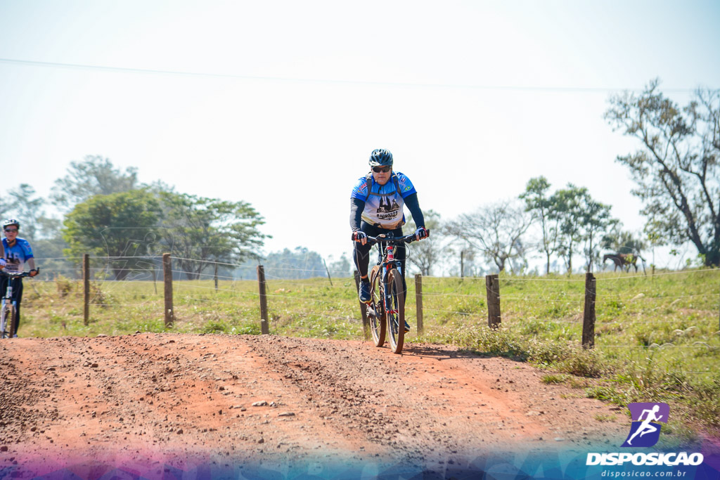 Caminhos da Padroeira 2016