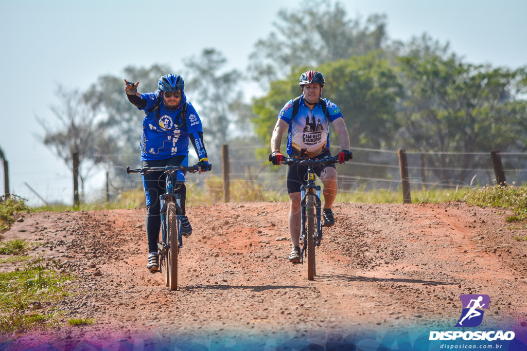 Caminhos da Padroeira 2016