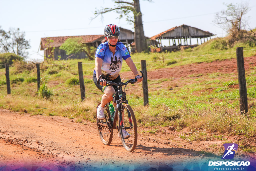 Caminhos da Padroeira 2016