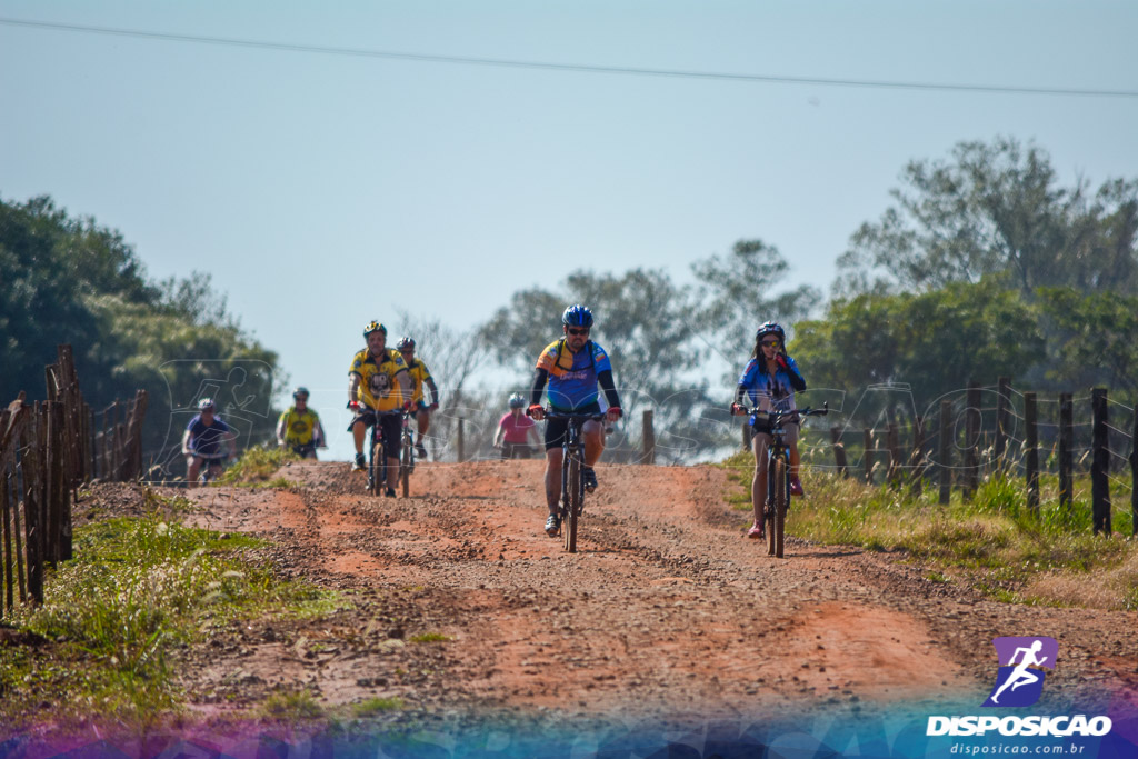 Caminhos da Padroeira 2016