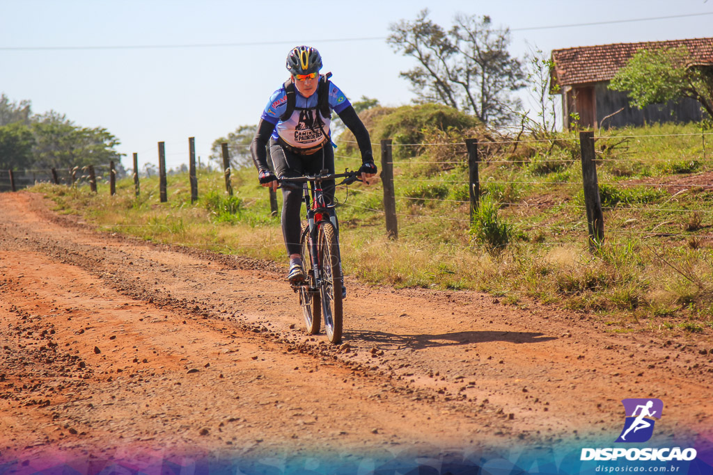 Caminhos da Padroeira 2016