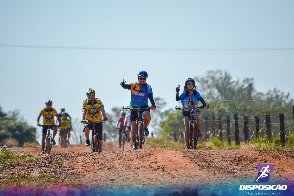 Caminhos da Padroeira 2016