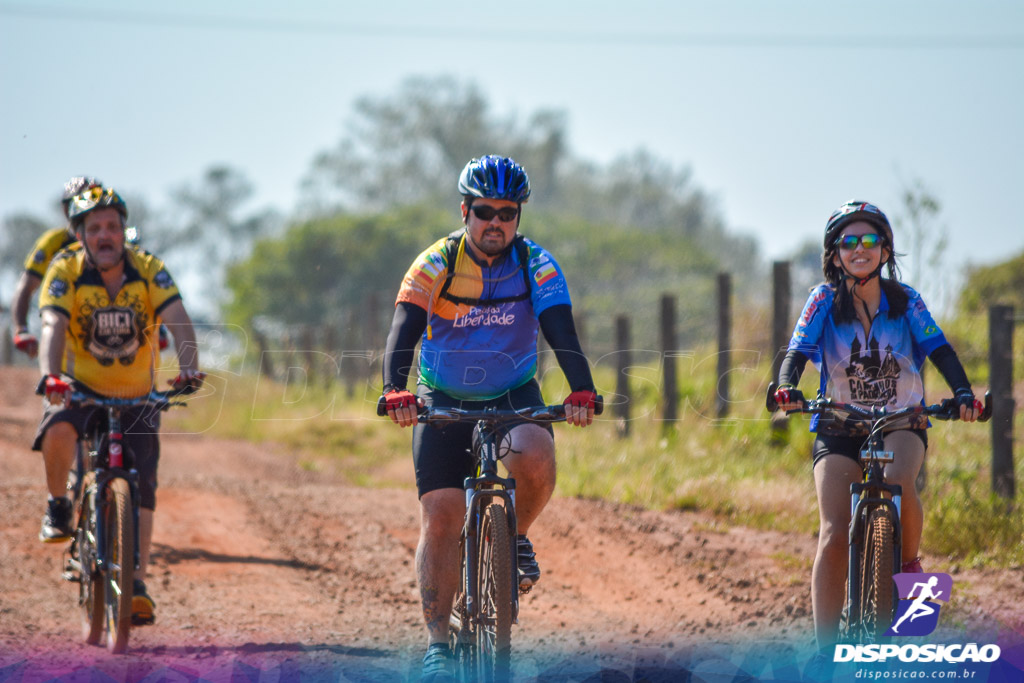 Caminhos da Padroeira 2016