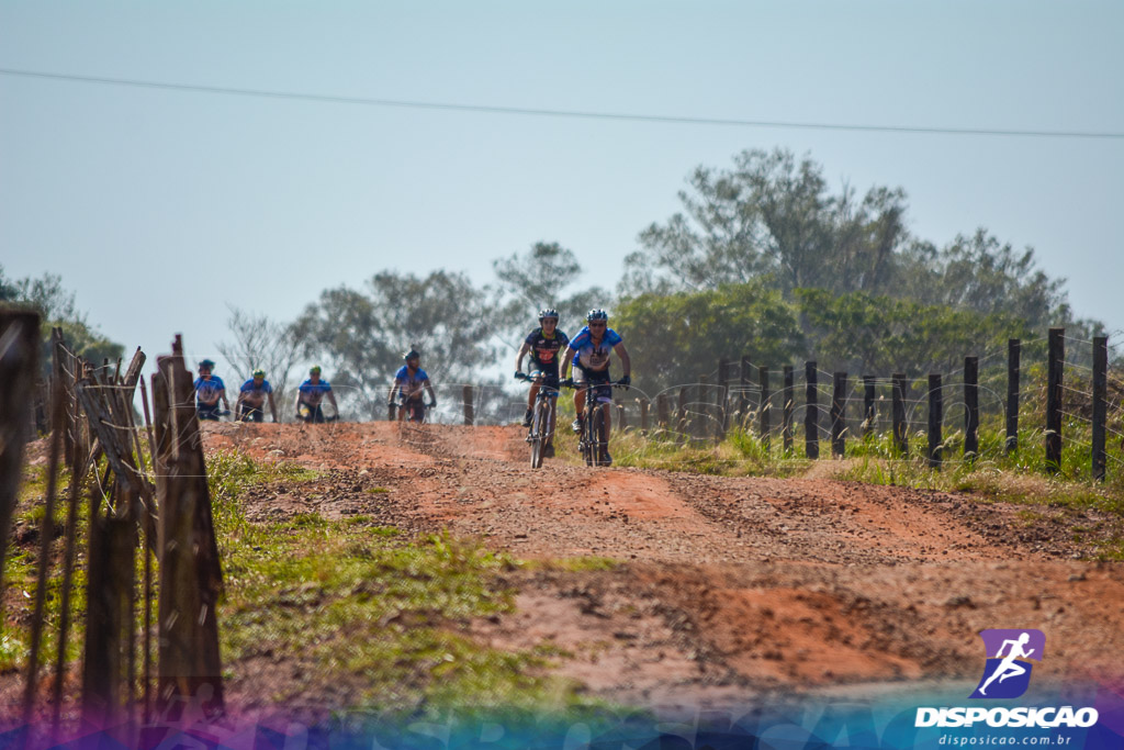 Caminhos da Padroeira 2016