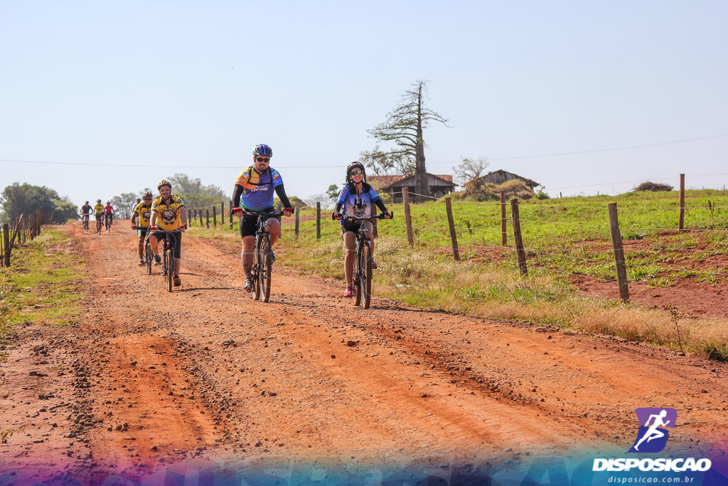 Caminhos da Padroeira 2016