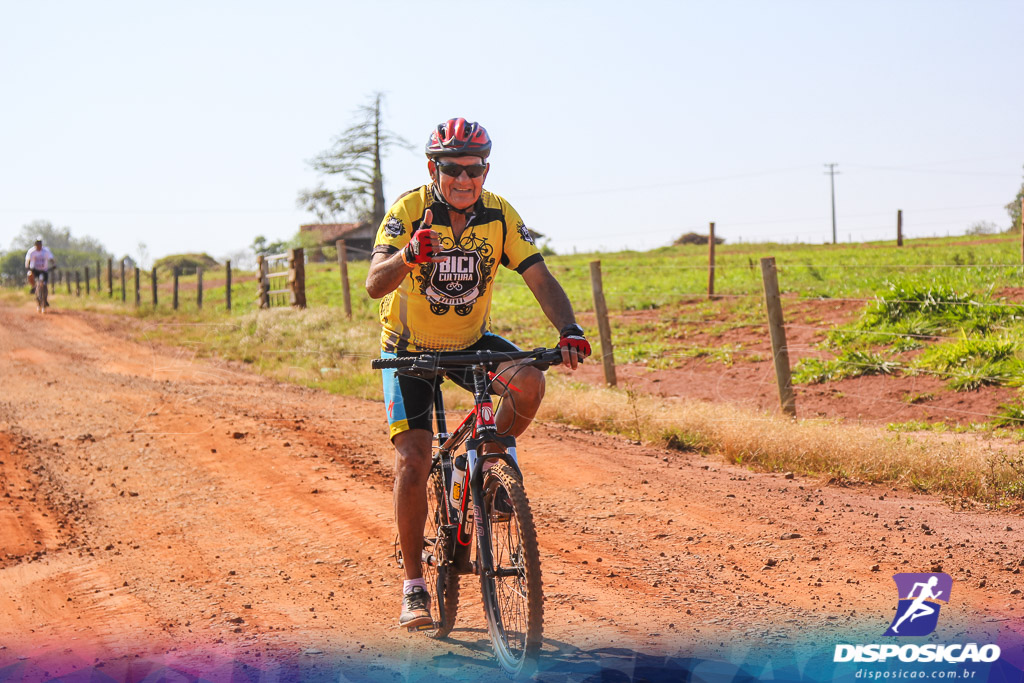 Caminhos da Padroeira 2016