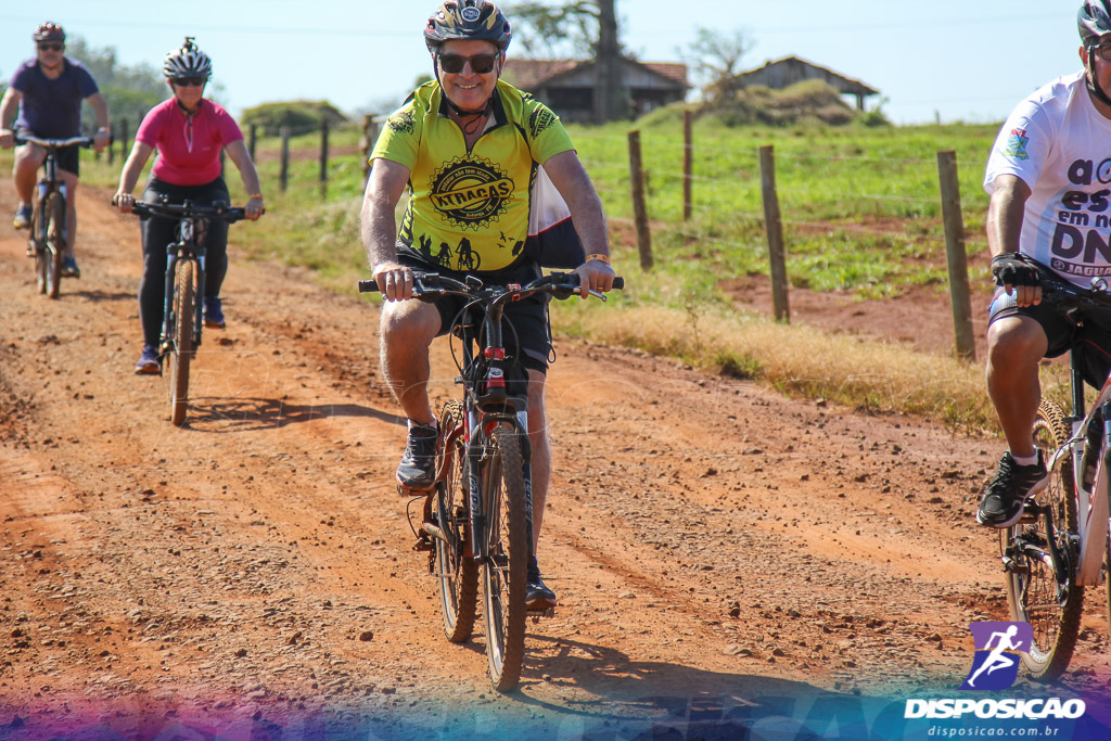 Caminhos da Padroeira 2016