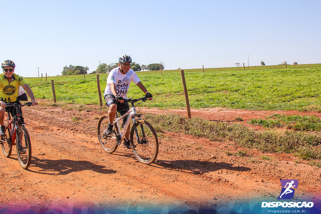 Caminhos da Padroeira 2016