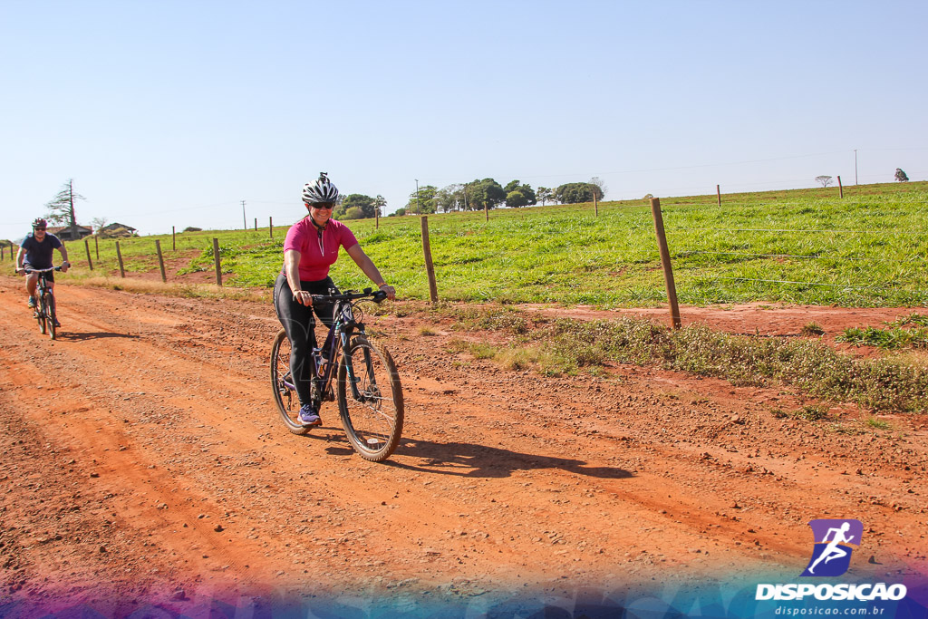 Caminhos da Padroeira 2016