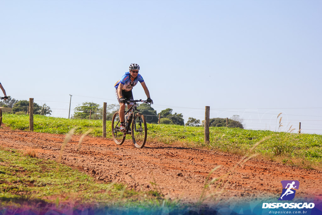 Caminhos da Padroeira 2016