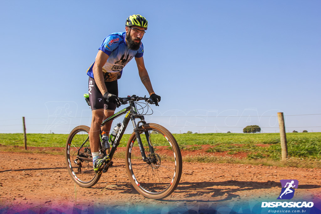 Caminhos da Padroeira 2016