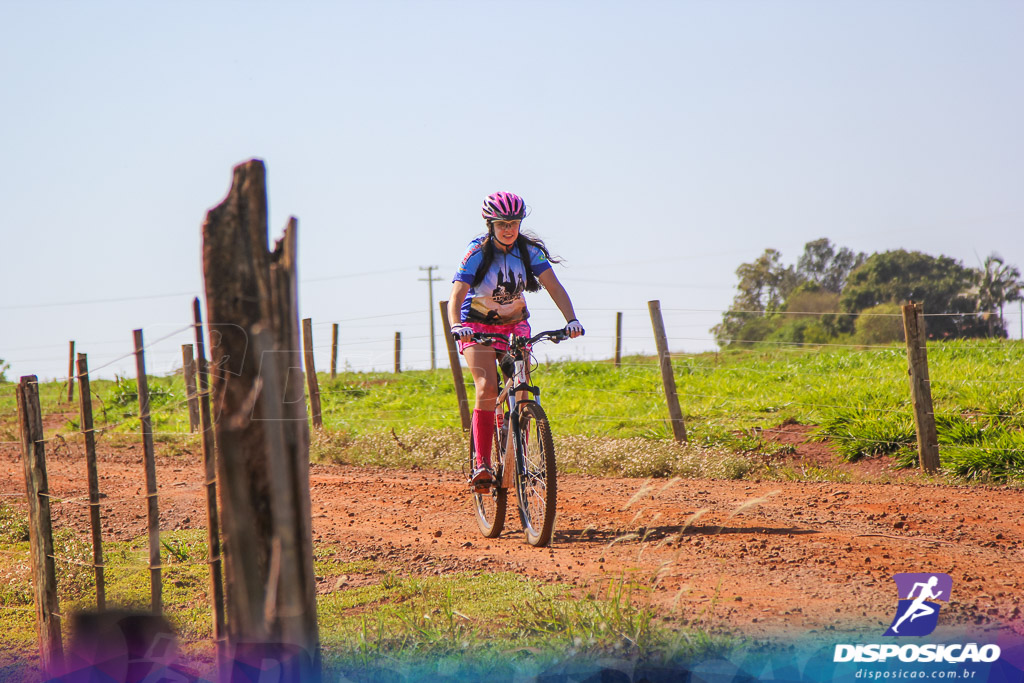 Caminhos da Padroeira 2016