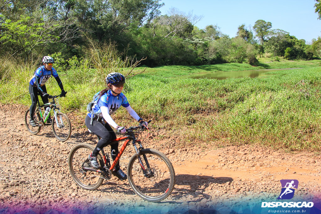 Caminhos da Padroeira 2016