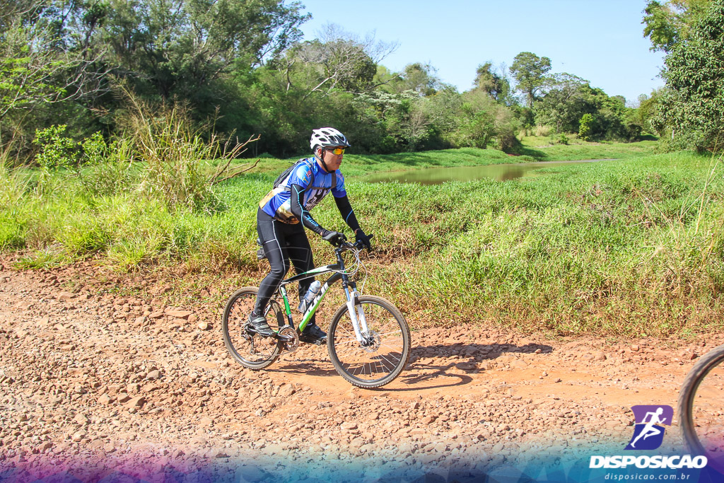 Caminhos da Padroeira 2016