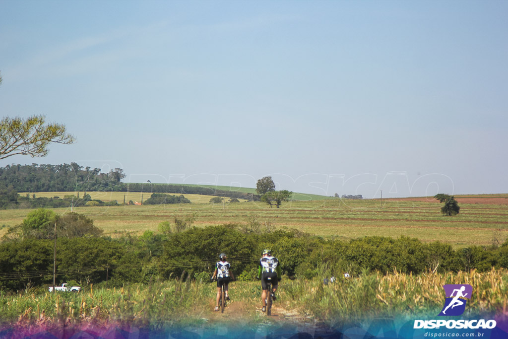 Caminhos da Padroeira 2016