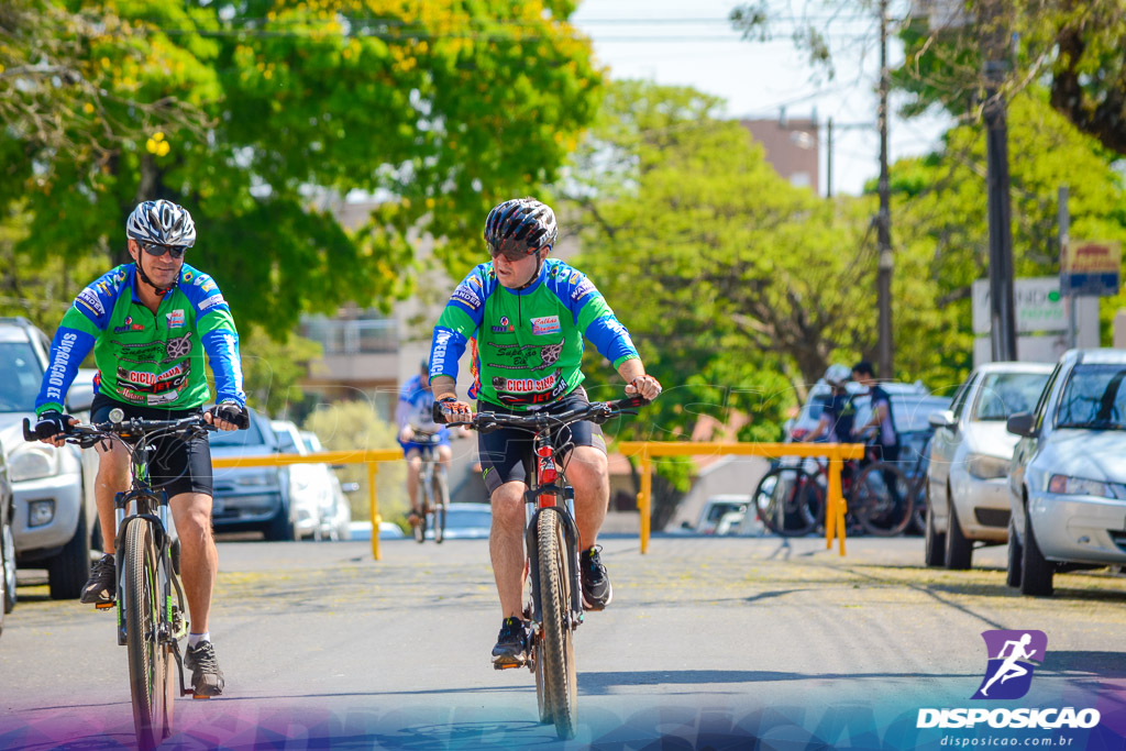 Caminhos da Padroeira 2016