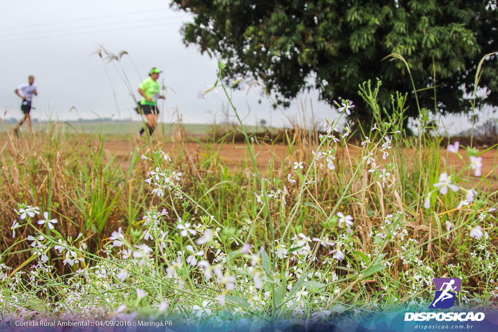 2ª Corrida Rural Ambiental