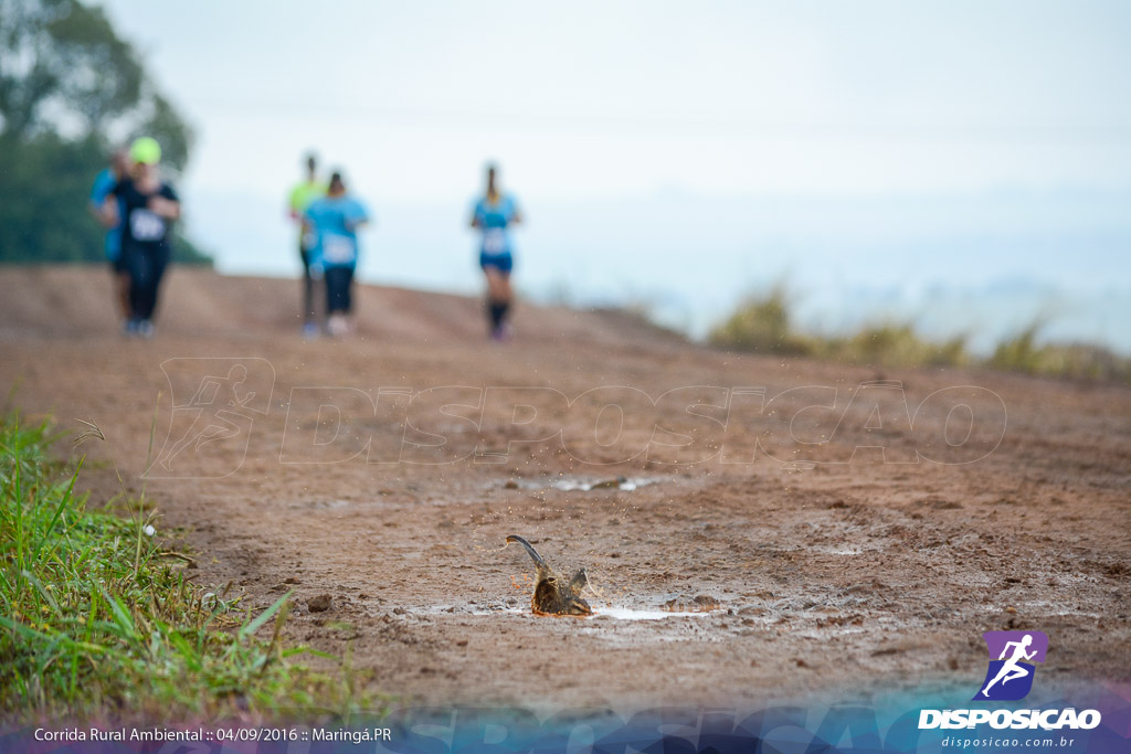 2ª Corrida Rural Ambiental